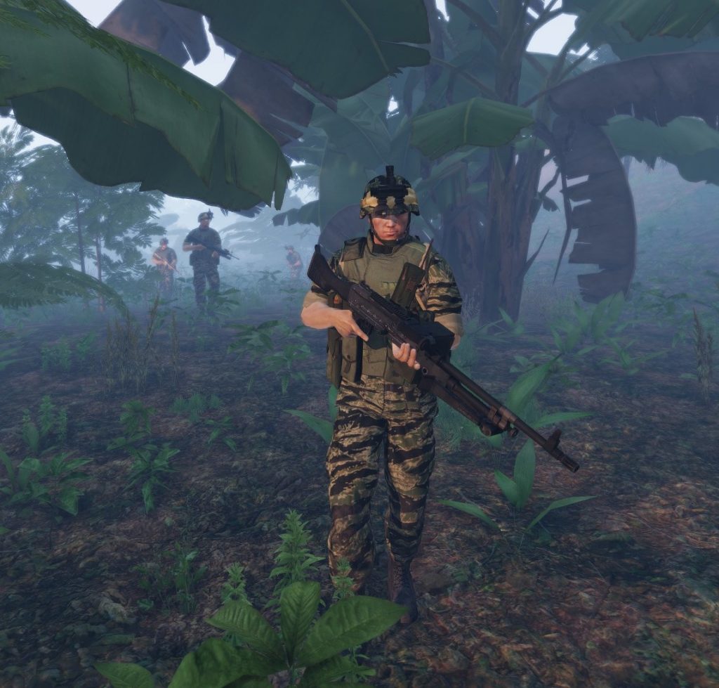 Government Forces